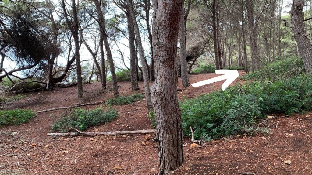 Cómo llegar a Cala Escorxada y cala Fustam